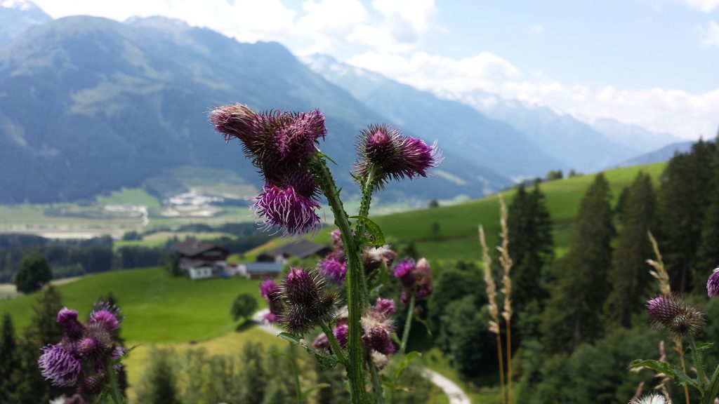 View from Thurn pass