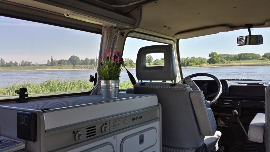 IKEA FEJKA artificial flower inside vanagon