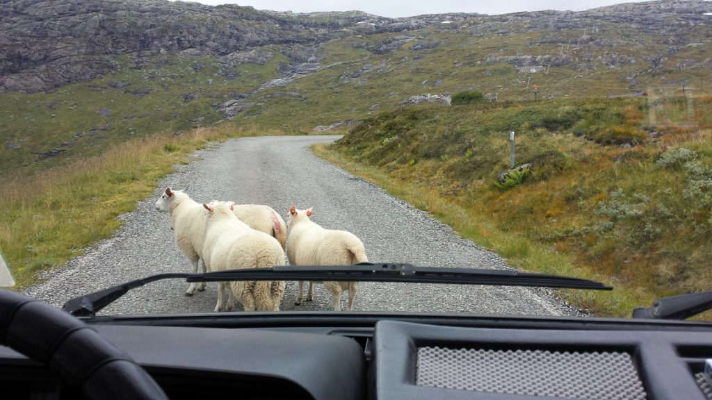 Norwegian traffic jam