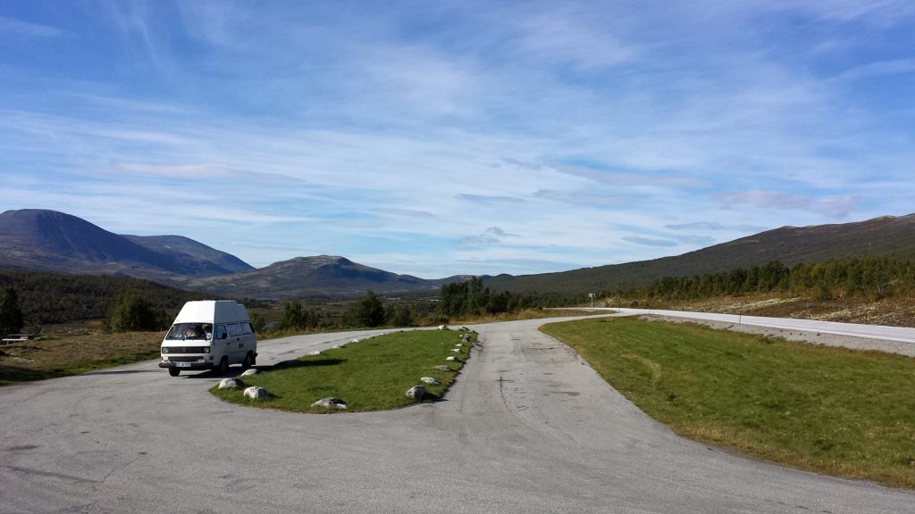 Rest on Dovrefjell