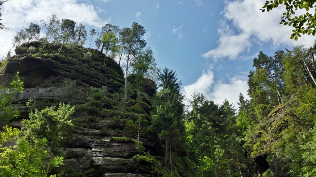 Rock formation in Edmund Gorge