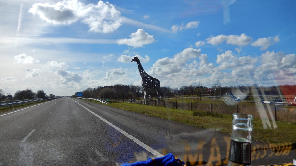 Border Giraffe