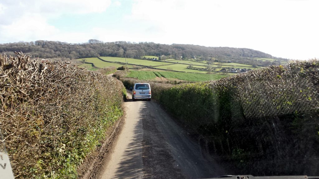 Hedges as far as the eye can see