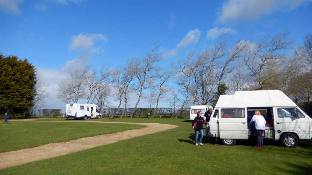 Wind-crooked trees at Folly Farm Camping