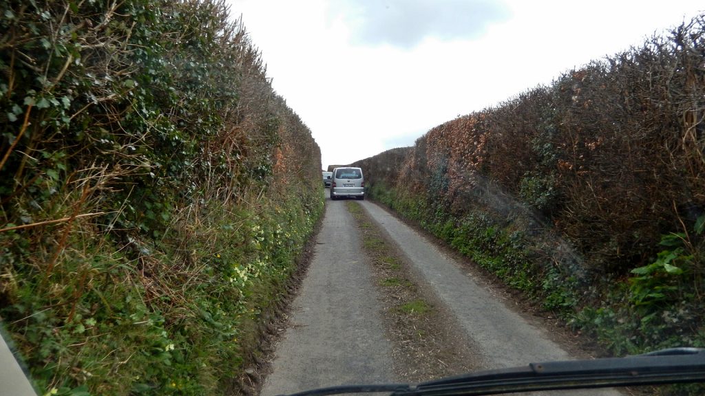 Oncoming traffic on the hedgerow