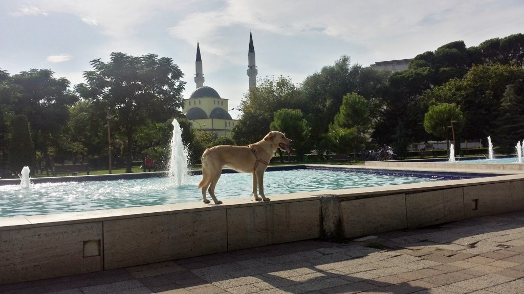 Moschee Park Springbrunnen Shkoder Shkodra Albanien