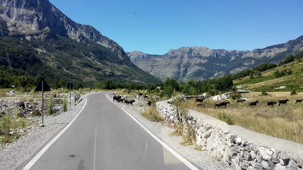 Asphaltierte, neue Straße nach Koplik, Albanien