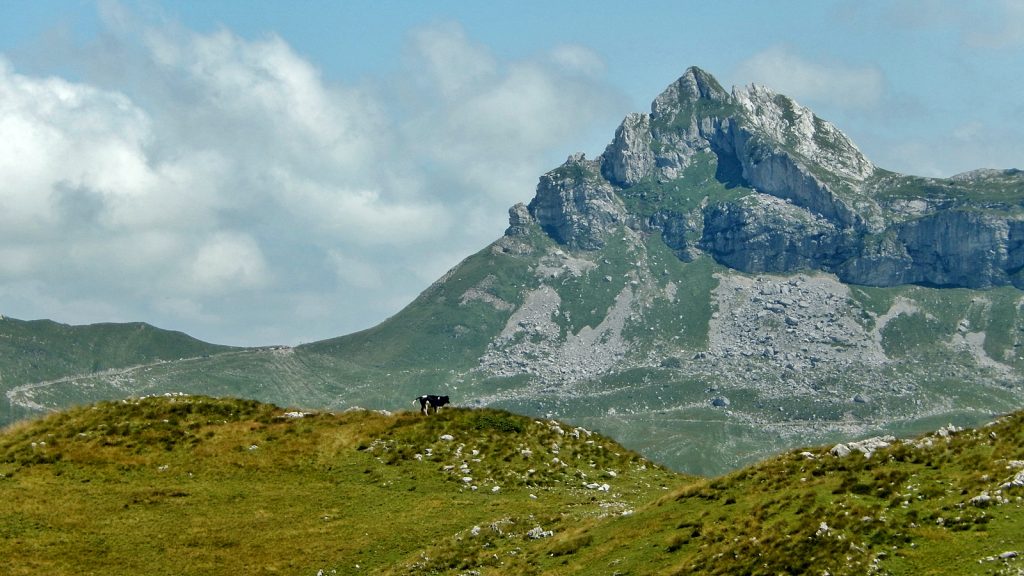 Durmitor Nationalpark Roadtrip Bulli