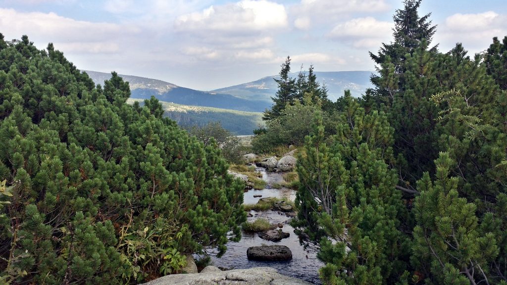 Pančava-Fluss - Mit dem Auto zur Elbquelle