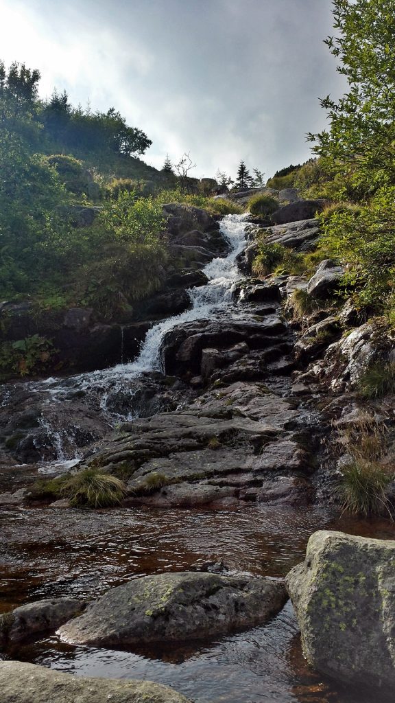 Kleiner Wasserfall der Elbe im Zulauf zum "großen" Elbfall