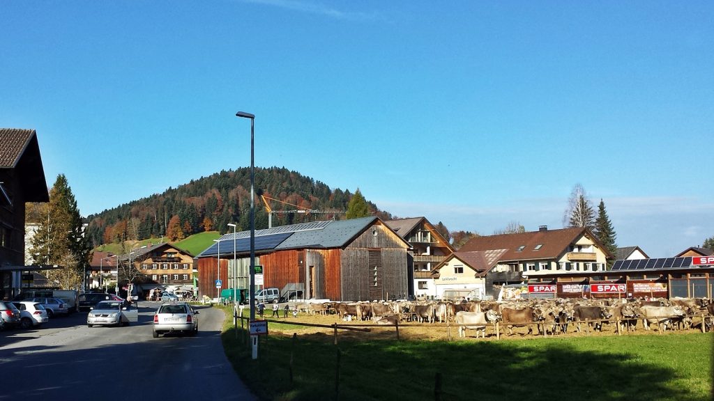 Rindermarkt Viehmarkt in Hittisau