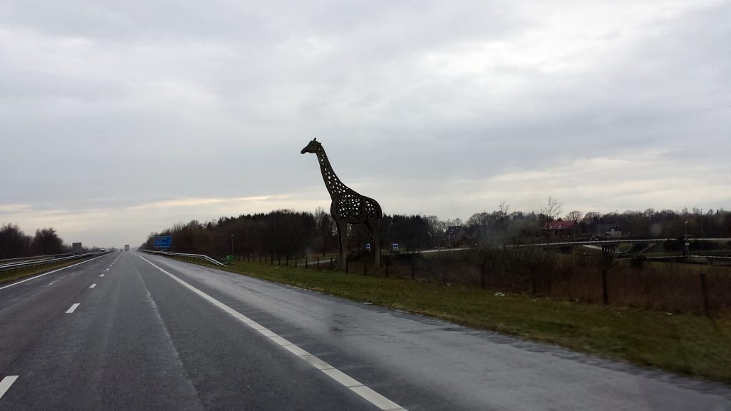 Grenzgiraffe in Klazienaveen