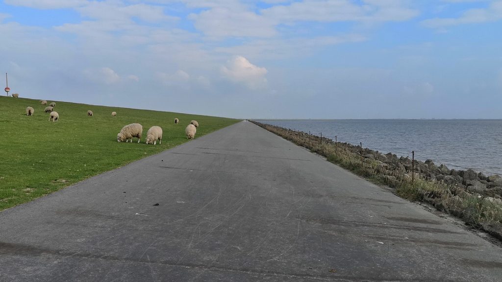 Deich an der Küste bei Meldorf