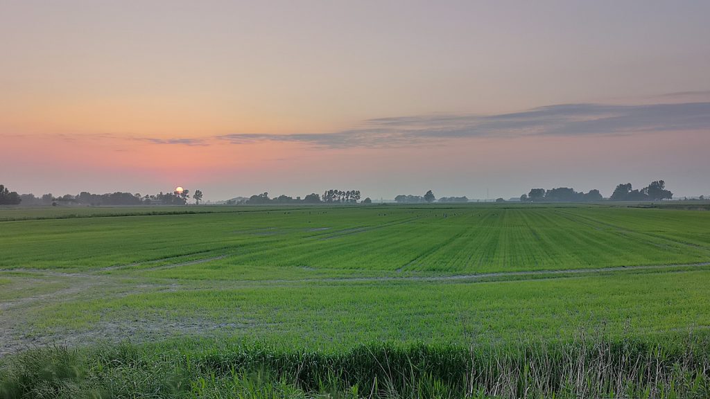 Sonnenuntergang über der Halbinsel Eiderstedt