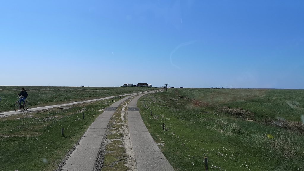 Hamburger Hallig