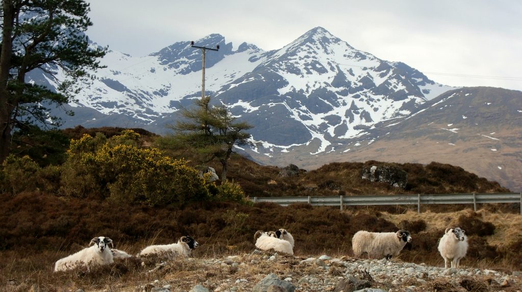 Morgenstimmung in Sligachan