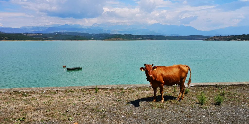 Ulas-Stausee, Ulëz, Albanien