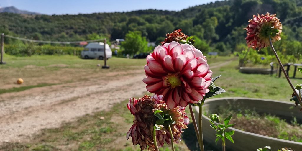 Morgens halb zehn auf dem Albturist Campingplatz bei Përmet