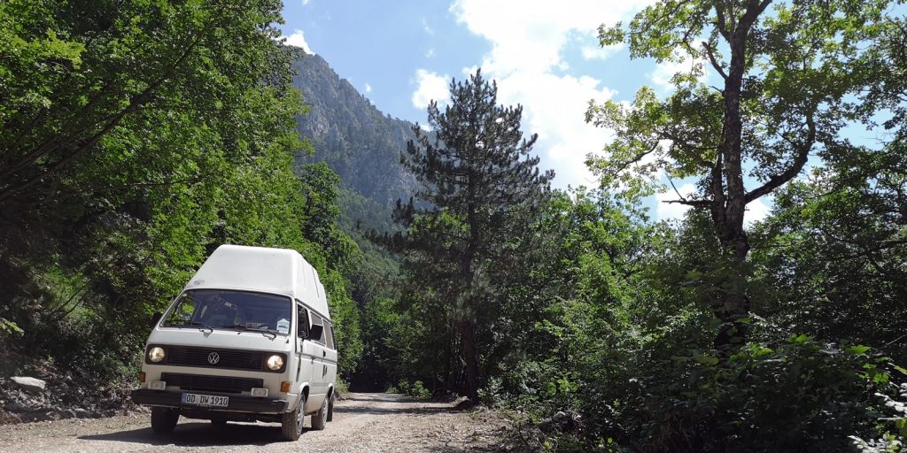 Bulli im Nationalpark Sutjeska