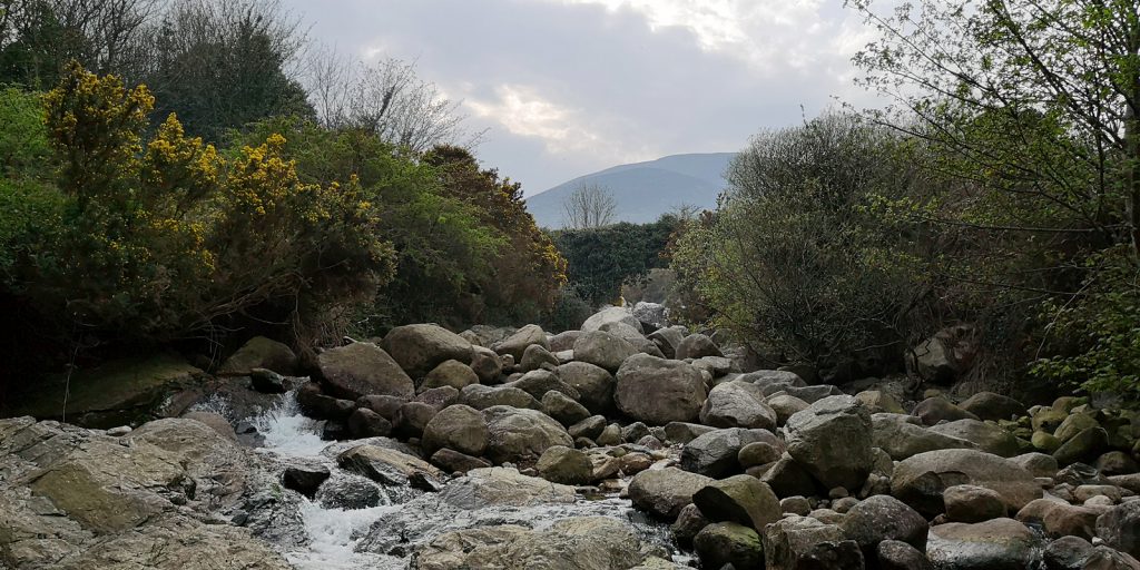 Bloody Bridge River, im Hintergrund mit Efeu bewachsene Bloody Bridge