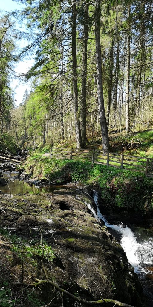 Glenariff Forest Park