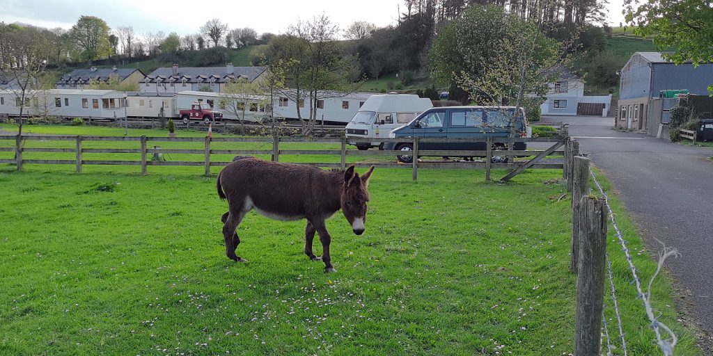 Camping mit Esel: Ballycarra