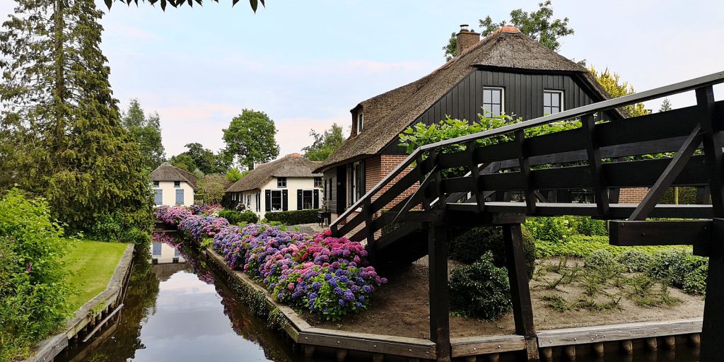 Rhododendren in Giethoorn