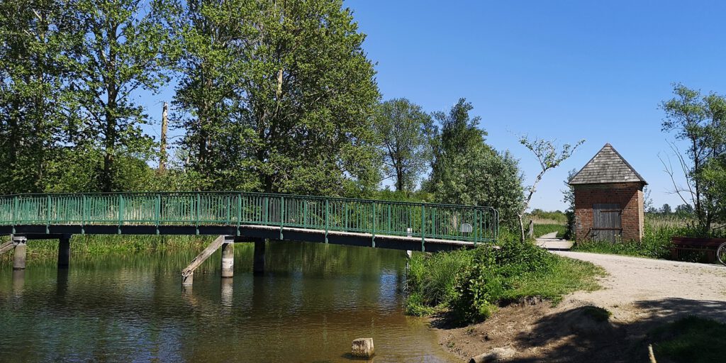 Grüne Brücke im Brenner Moor