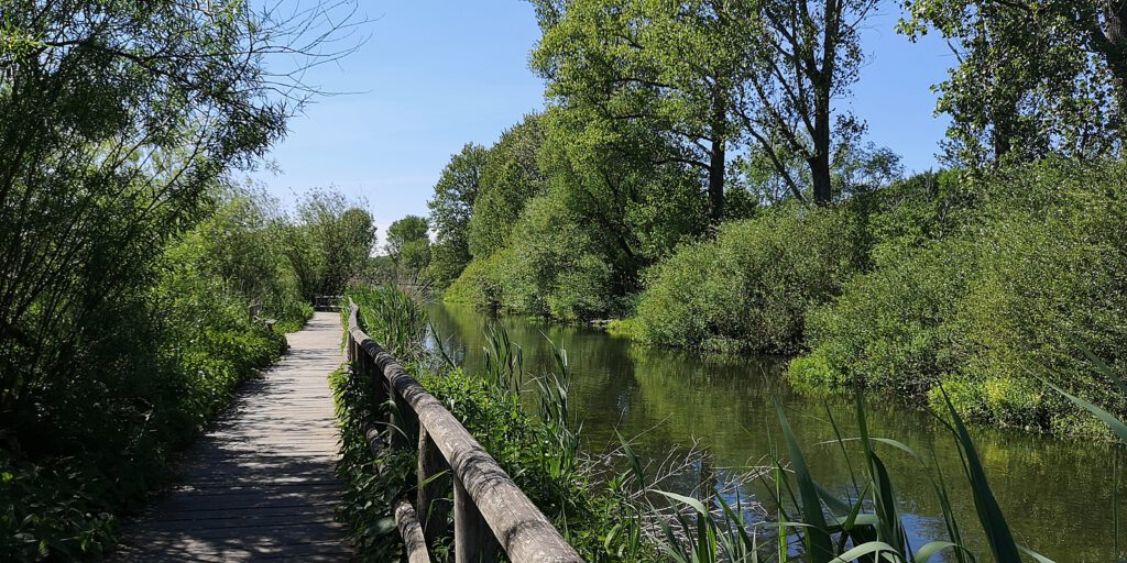 Im Norden und Osten begrenzt die Trave das Brenner Moor