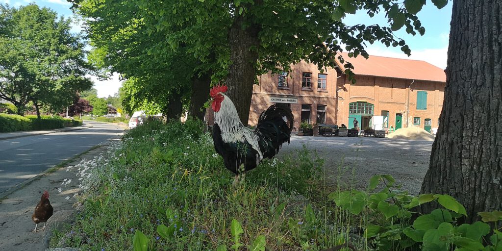 Gasthof Unter den Linden aka Dorfkrug