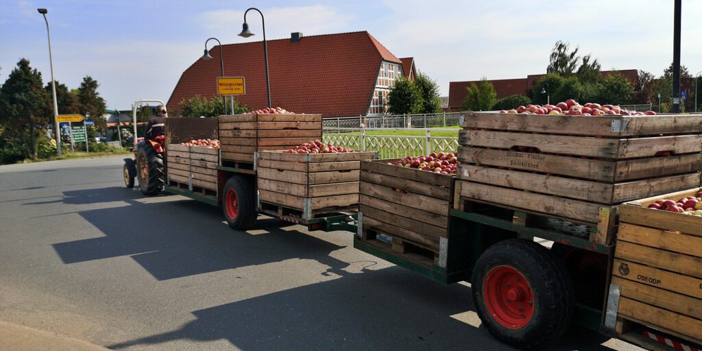 Apfelernte im September