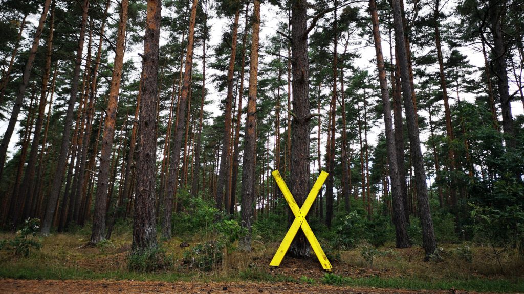 Wendland: Ein gelbes X als Zeichen des Protestes gegen das Atomlager Gorleben