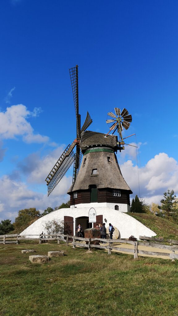 Berg- oder Kellerholländermühle aus Dithmarschen, Deutschland