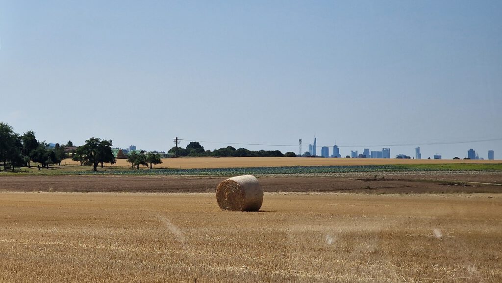 Frankfurter Skyline bei Bad Homburg