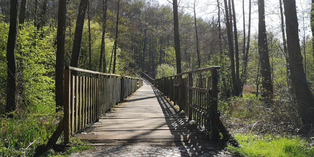 Alte Pionierbrücke