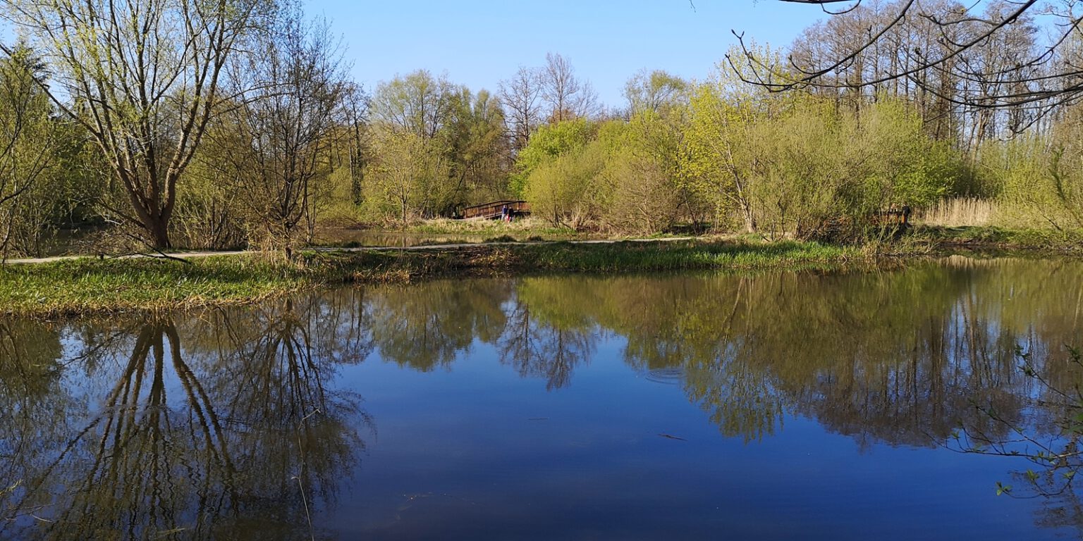 Die Bille Natur und IndustrieRomantik Mit dem Didimobil unterwegs