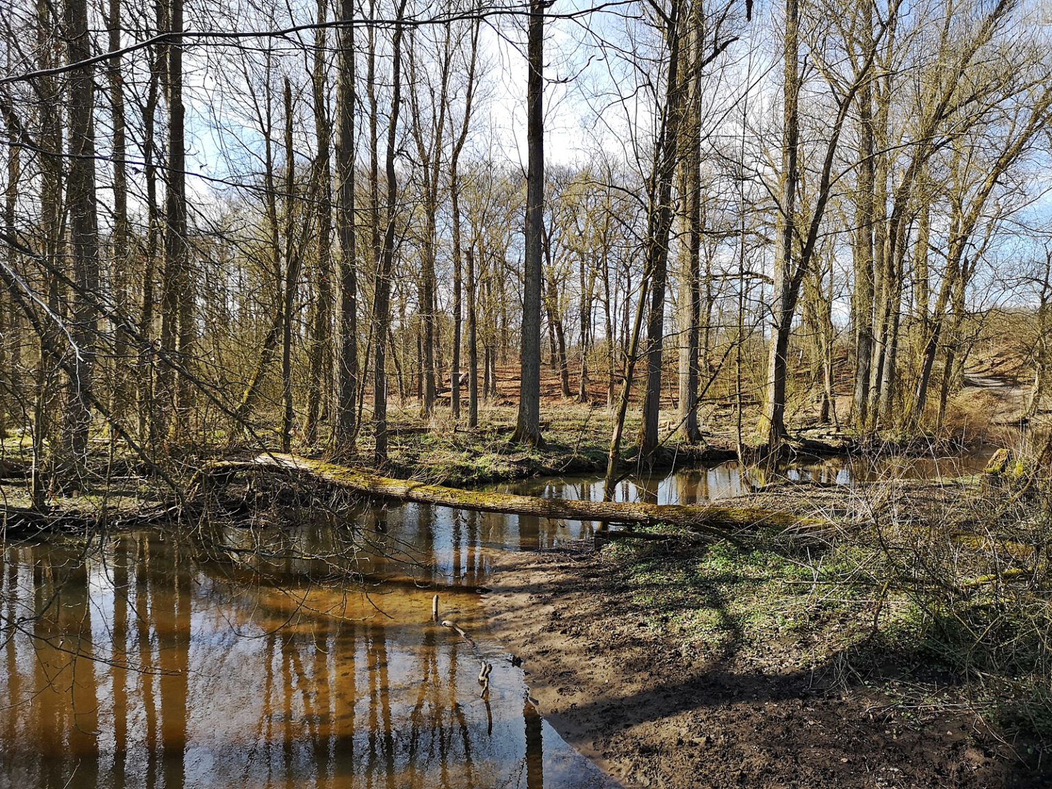 Die Bille Natur und IndustrieRomantik Mit dem Didimobil unterwegs