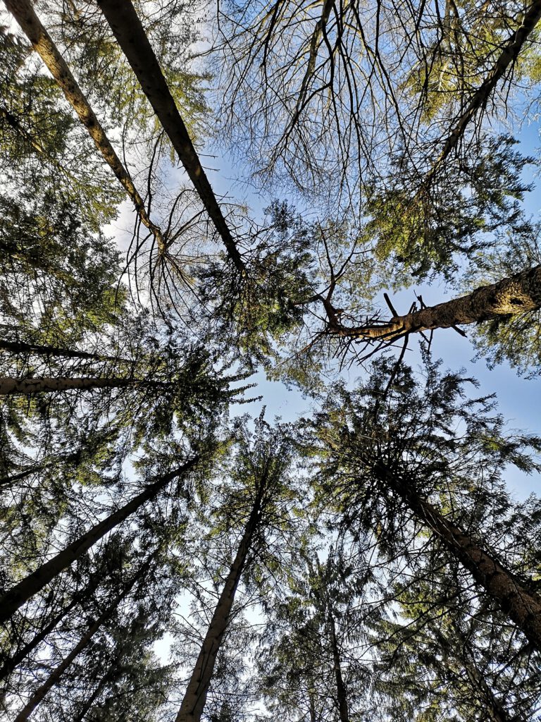 Naturschutzgebiet Oberes Billetal