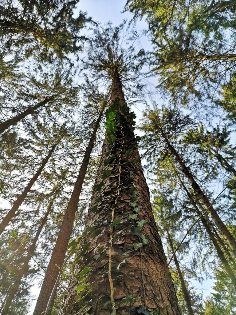 Naturschutzgebiet Billetal