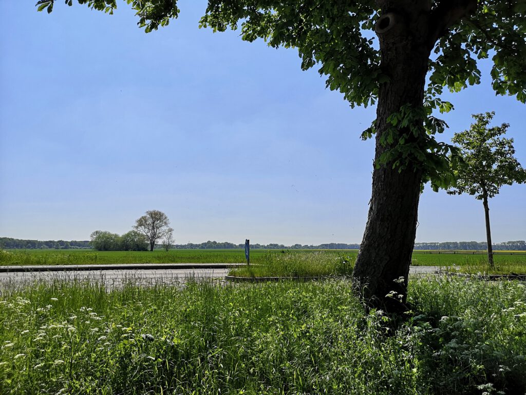 Blick auf die die Freifläche der geplanten Trabantenstadt Oberbillwerder