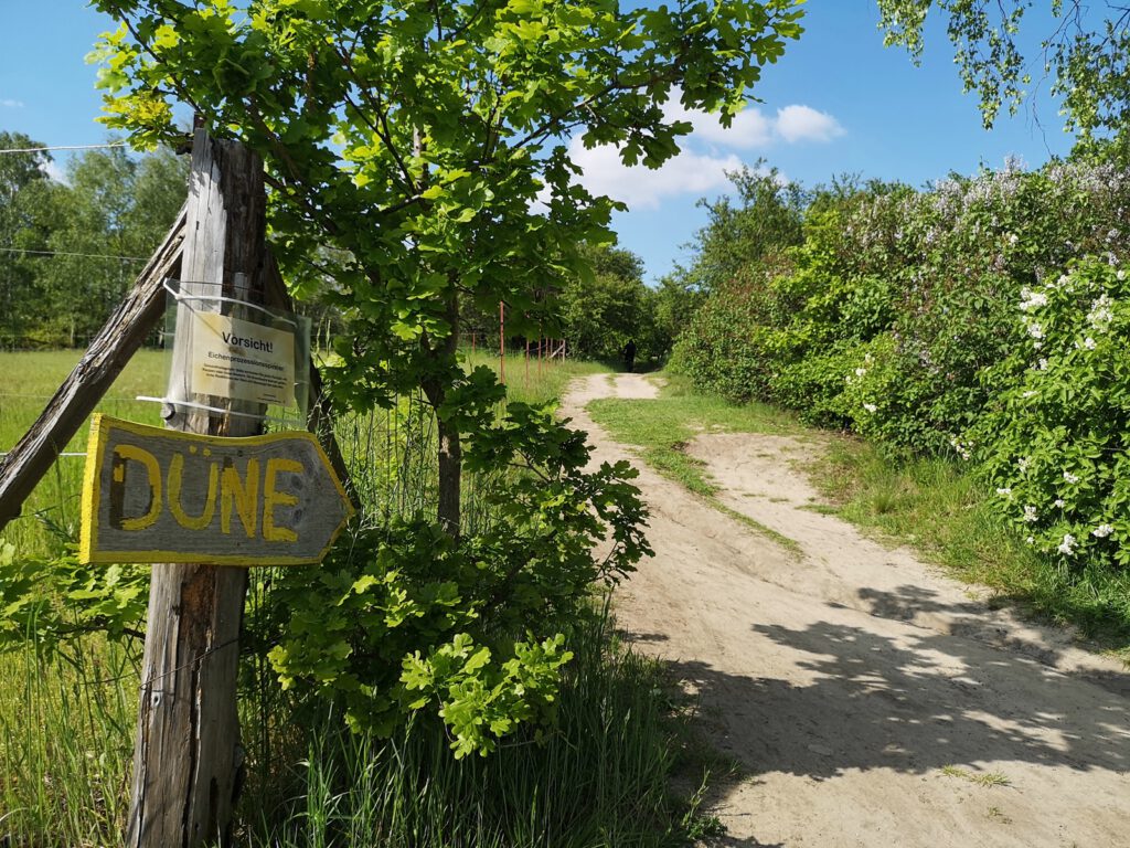 Weit ab von Meer: Die Boberger Dünen