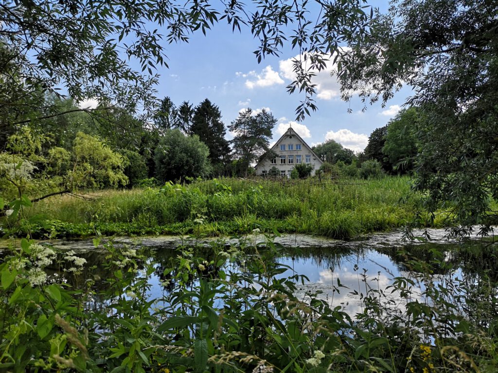 Blick vom Bille-Wanderweg zum Billwerder Billdeich