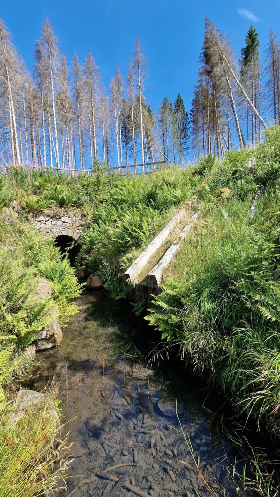 Kalte Küche Wasserlauf