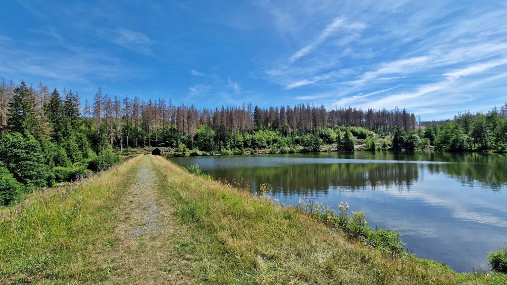 Polstertaler Teich