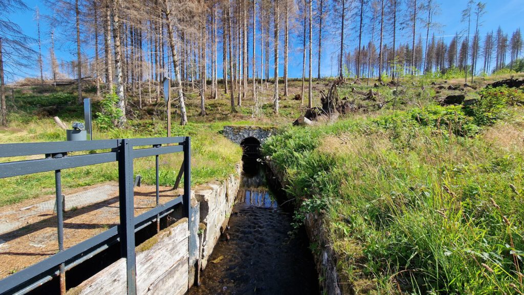 Mundloch des Rothenberger Wasserlaufes