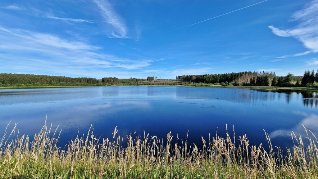 Blick über den Hirschler Teich