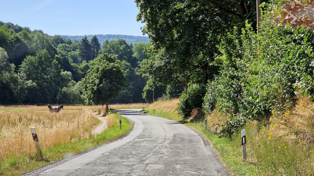 Kleine Landstraße im Kellerwald