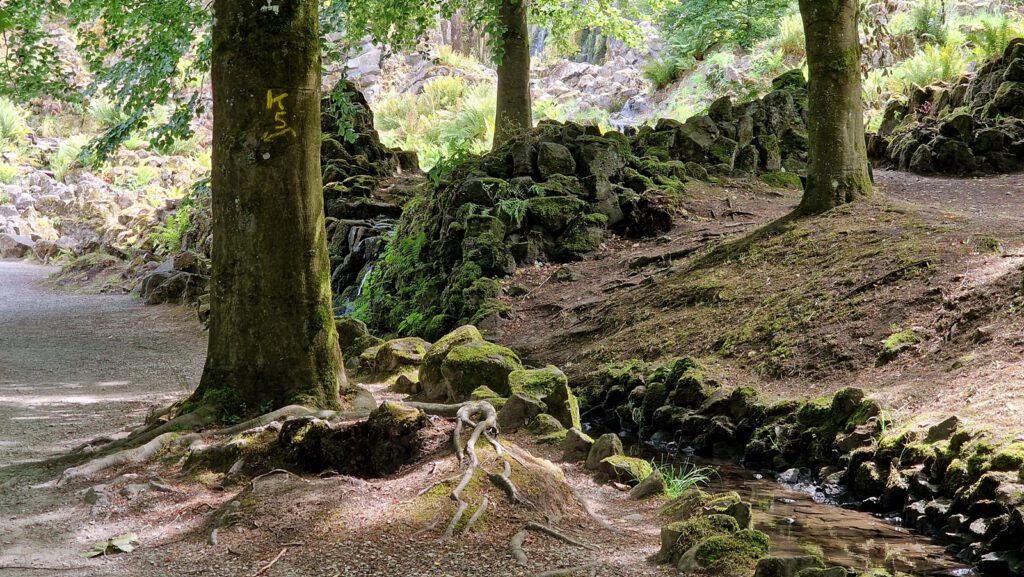 Waldbach im Bergpark Wilhelmshöhe