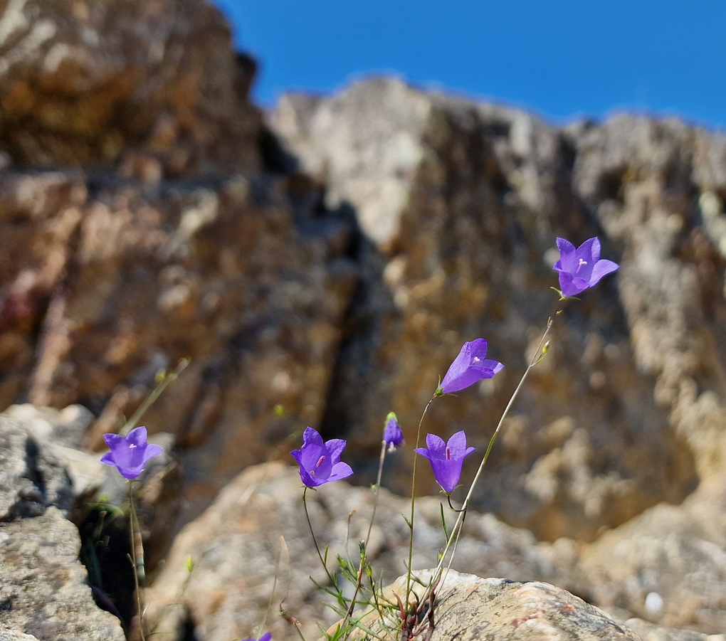 Wie in den Alpen